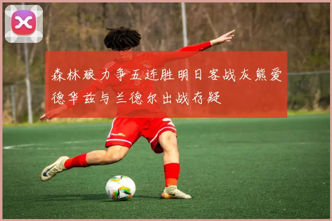 森林狼力争五连胜明日客战灰熊爱德华兹与兰德尔出战存疑