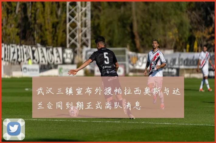 武汉三镇宣布外援帕拉西奥斯与达兰合同到期正式离队消息