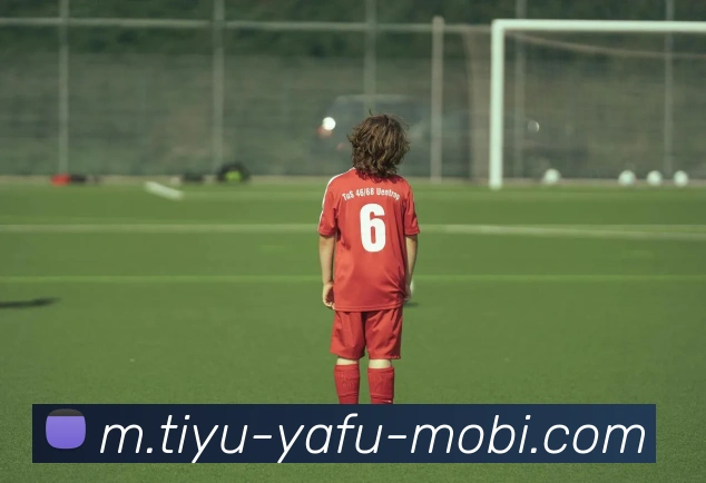 费内巴切官方辟谣冬季转会窗口未考虑引进弗拉泰西